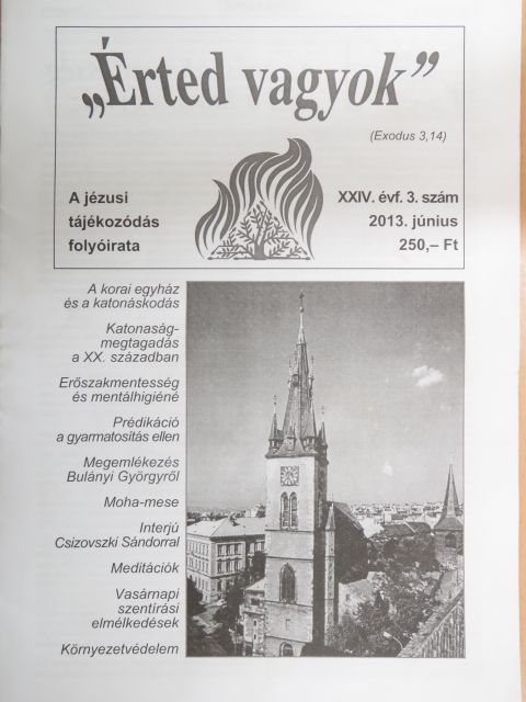 Bajnok Dániel - "Érted vagyok" 2013. június [antikvár]