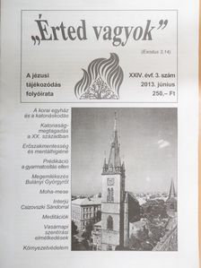 Bajnok Dániel - "Érted vagyok" 2013. június [antikvár]