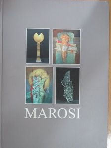 Marosi Ilona képzőművész [antikvár]
