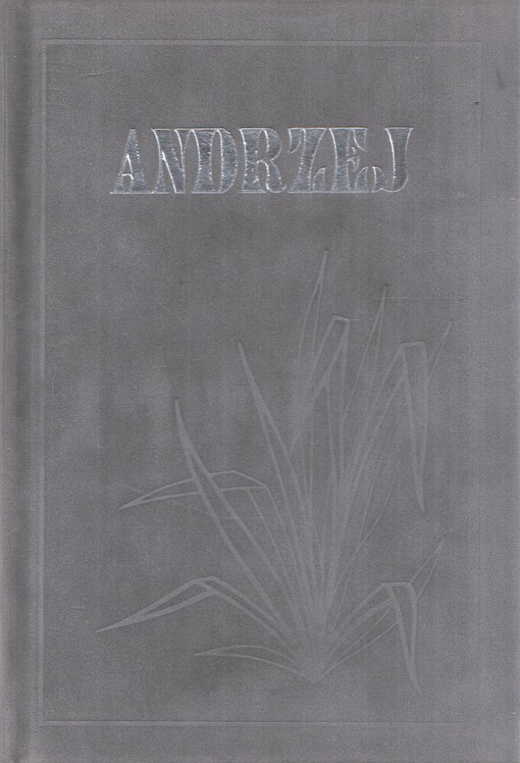 Jerzy Snopek - Andrzej [antikvár]