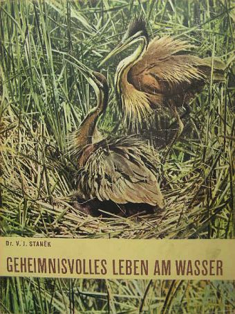 Dr. V. J. Stanek - Geheimnisvolles leben am Wasser [antikvár]