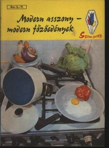Modern asszony - modern főzőedények [antikvár]
