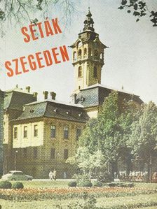 Sz. Simon István - Séták Szegeden [antikvár]