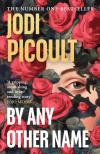 Jodi Picoult - By Any Other Name: The dazzling new historical novel