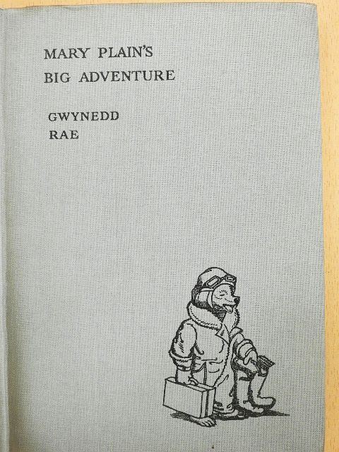 Gwynedd Rae - Mary Plain's Big Adventure [antikvár]