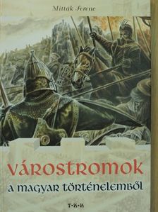 Mitták Ferenc - Várostromok a magyar történelemből [antikvár]