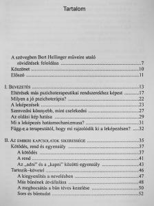Thomas Schäfer - Ami a lelket megbetegíti, és ami meggyógyítja [antikvár]