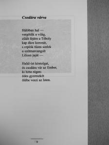 Tungli M. Klára - A visszatérő (dedikált példány) [antikvár]