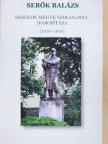 Sebők Balázs - Szolnok megye szocialista iparosítása (1950-1970) [antikvár]