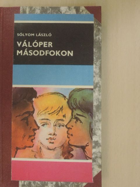 Sólyom László - Válóper másodfokon [antikvár]
