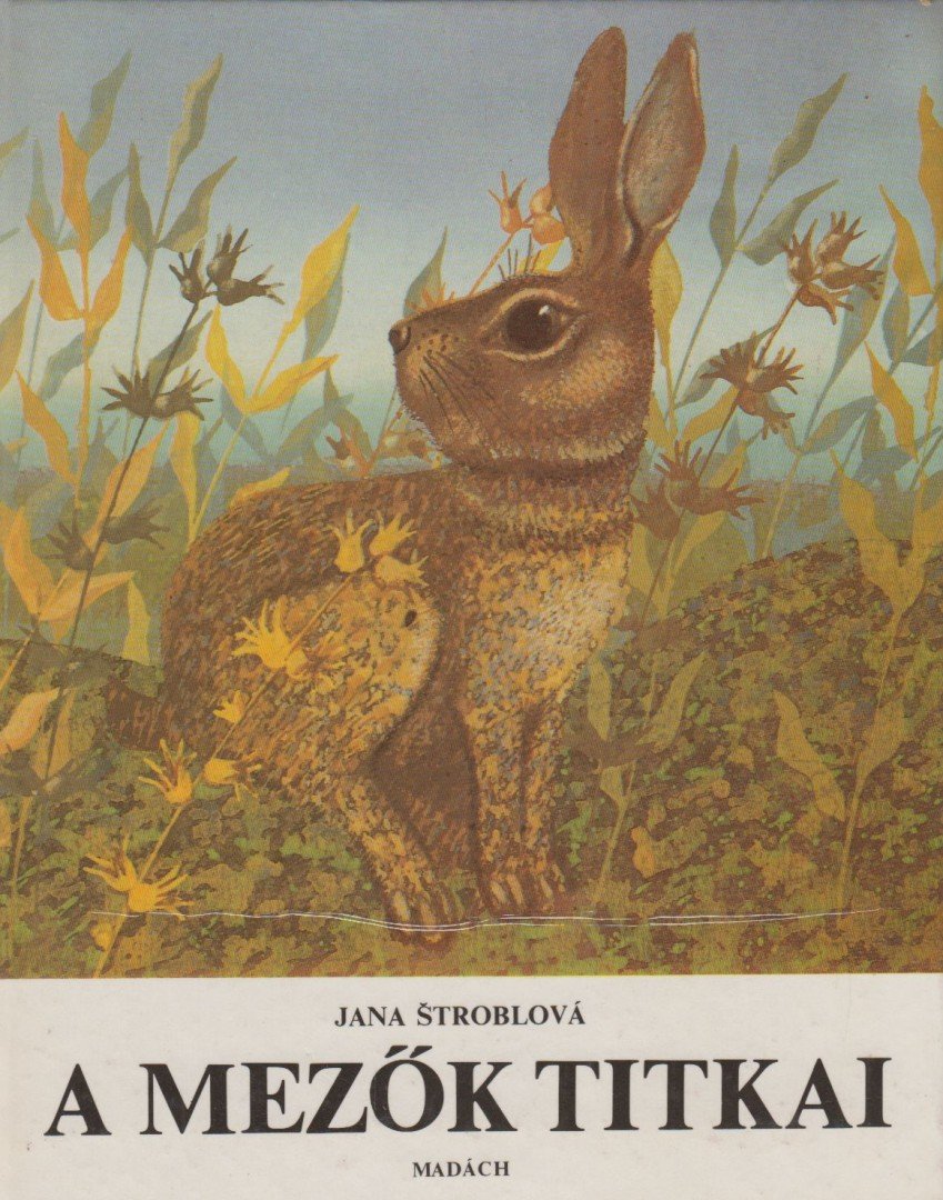 Stroblová, Jana - A mezők titkai [antikvár]
