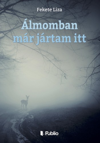 Liza Fekete - Álmomban már jártam itt - első rész [eKönyv: epub, mobi]