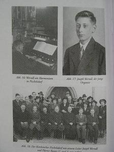 Joseph Werndl - Der Musiker [antikvár]