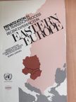 Irena Grosfeld - Privatization in the Transition Process Recent Experiences in Eastern Europe [antikvár]