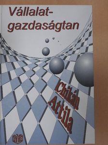 Chikán Attila - Vállalatgazdaságtan [antikvár]