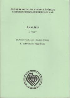 Dr. Csernyák László, Jámbor Balázs - Analízis 5. füzet [antikvár]