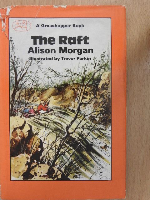 Alison Morgan - The Raft [antikvár]