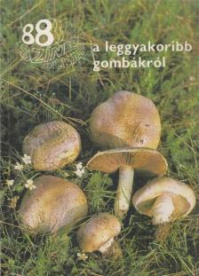 Dr. Rimóczi Imre - 88 színes oldal a leggyakoribb gombákról [antikvár]