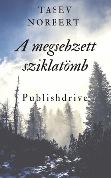 Norbert Tasev - A megsebzett sziklatömb [eKönyv: epub, mobi]