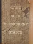 Siegfried Oertwig - Gang durch versunkene Städte [antikvár]