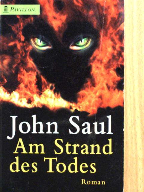 John Saul - Am Strand des Todes [antikvár]