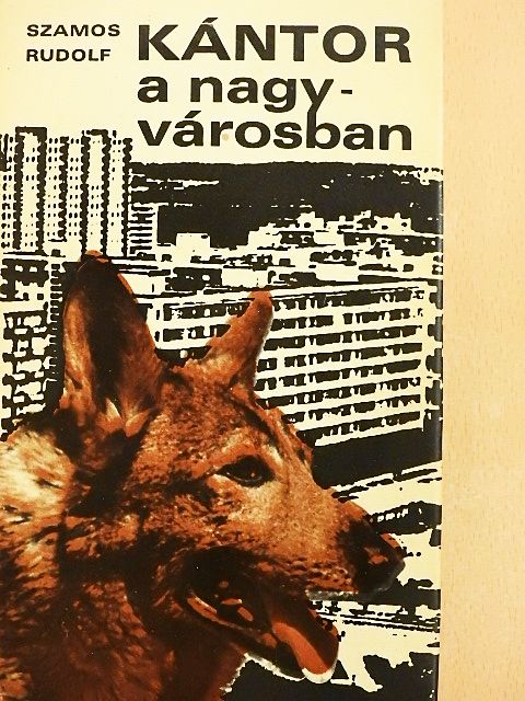 Szamos Rudolf - Kántor a nagyvárosban [antikvár]