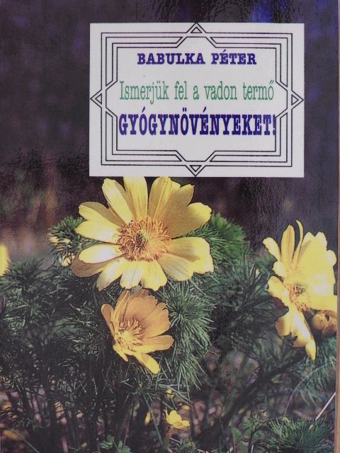 Dr. Babulka Péter - Ismerjük fel a vadon termő gyógynövényeket! [antikvár]