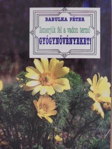 Dr. Babulka Péter - Ismerjük fel a vadon termő gyógynövényeket! [antikvár]