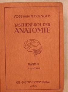 Hermann Voss - Taschenbuch der Anatomie III. (töredék) [antikvár]