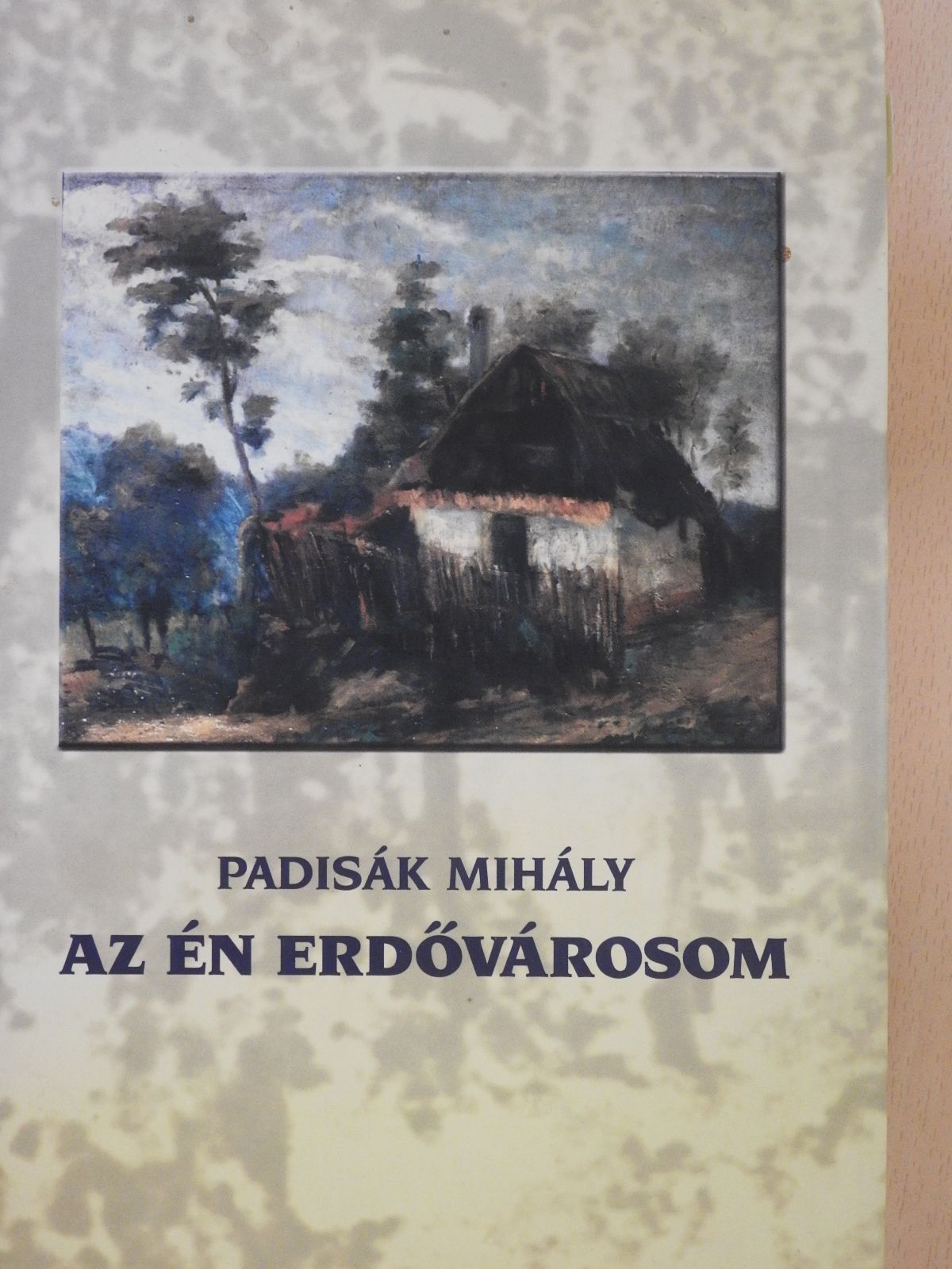 Padisák Mihály - Az én erdővárosom (aláírt és sorszámozott példány) [antikvár]