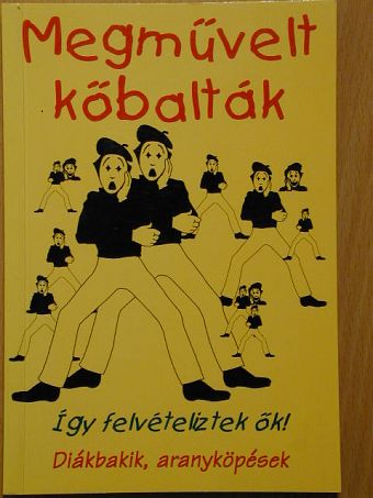 Dr. Kabódi Csaba - Megművelt kőbalták [antikvár]