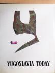 Mitrovic Mitra - Yugoslavia Today [antikvár]