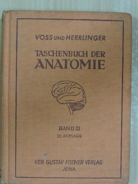 Hermann Voss - Taschenbuch der Anatomie III. (töredék) [antikvár]