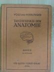 Hermann Voss - Taschenbuch der Anatomie III. (töredék) [antikvár]