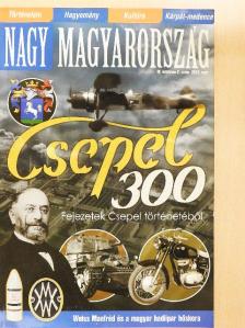 Ágoston Balázs - Nagy Magyarország 2012. nyár [antikvár]
