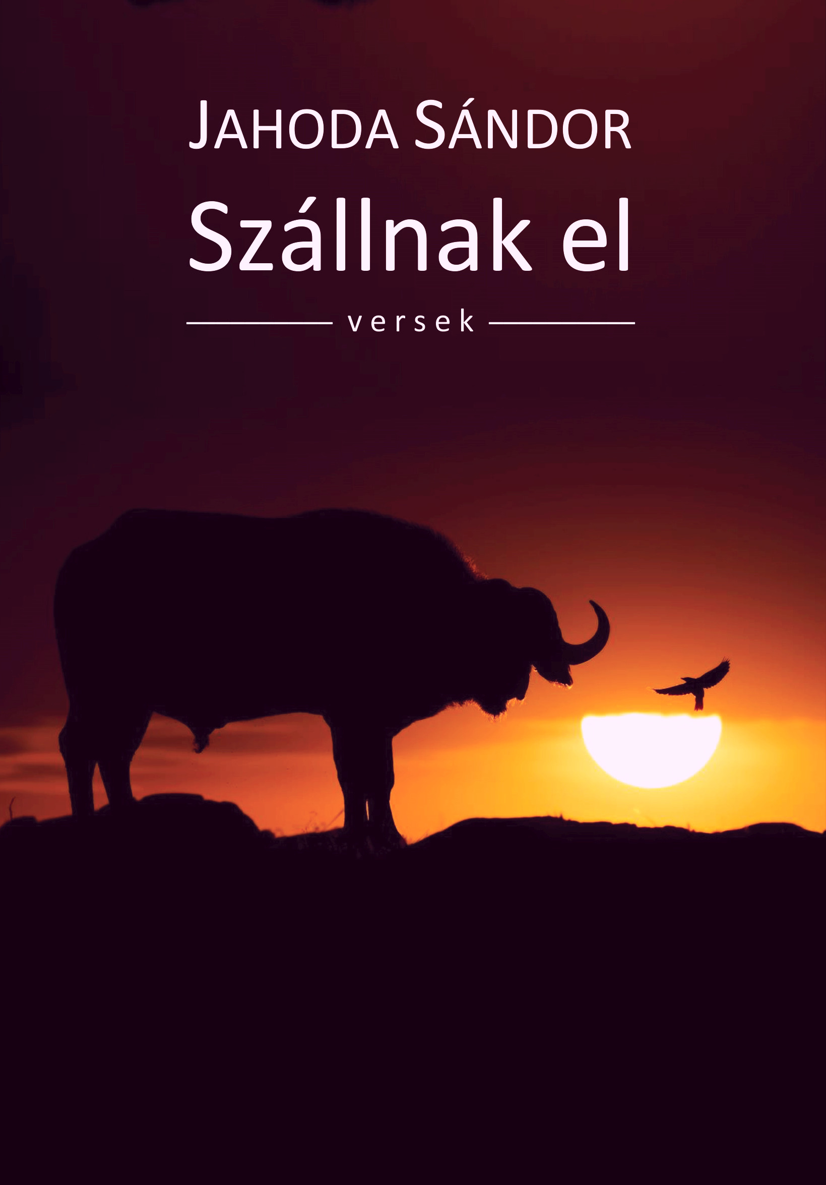 Jahoda Sándor - Szállnak el