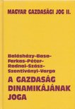 Dr. Sárközy Tamás - A gazdaság dinamikájának joga [antikvár]