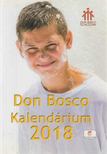 Lengyel Erzsébet (szerk.) - Don Bosco Kalendárium 2018 [antikvár]