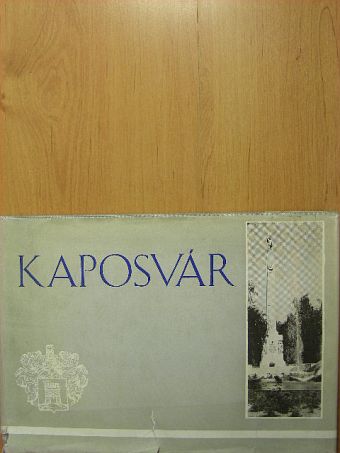Leskó László - Kaposvár [antikvár]