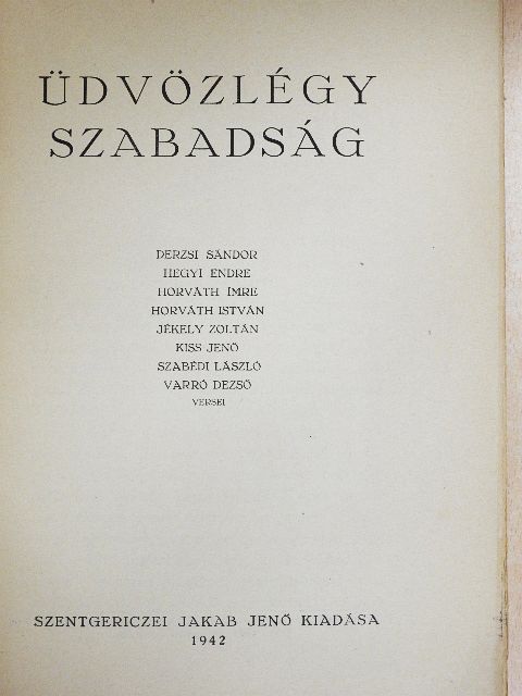 Derzsi Sándor - Üdvözlégy szabadság [antikvár]