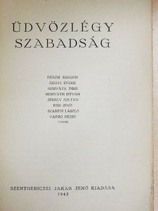 Derzsi Sándor - Üdvözlégy szabadság [antikvár]