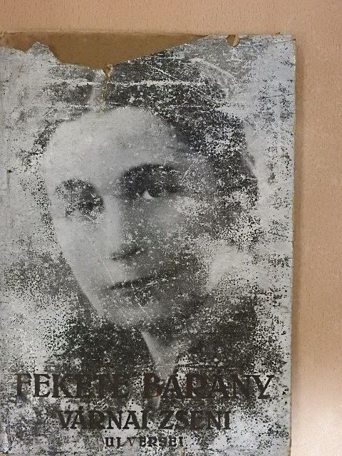 Várnai Zseni - Fekete bárány [antikvár]
