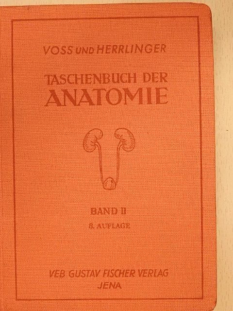 Hermann Voss - Taschenbuch der Anatomie II. (töredék) [antikvár]