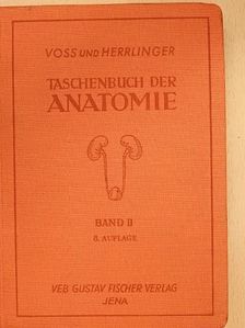 Hermann Voss - Taschenbuch der Anatomie II. (töredék) [antikvár]