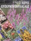 Dr. Babulka Péter - Képes gyógynövénykalauz [antikvár]