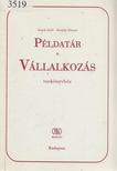 Kapás Judit, Kristály Mátyás - Példatár a Vállalkozás tankönyvhöz [antikvár]
