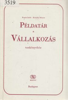 Kapás Judit, Kristály Mátyás - Példatár a Vállalkozás tankönyvhöz [antikvár]