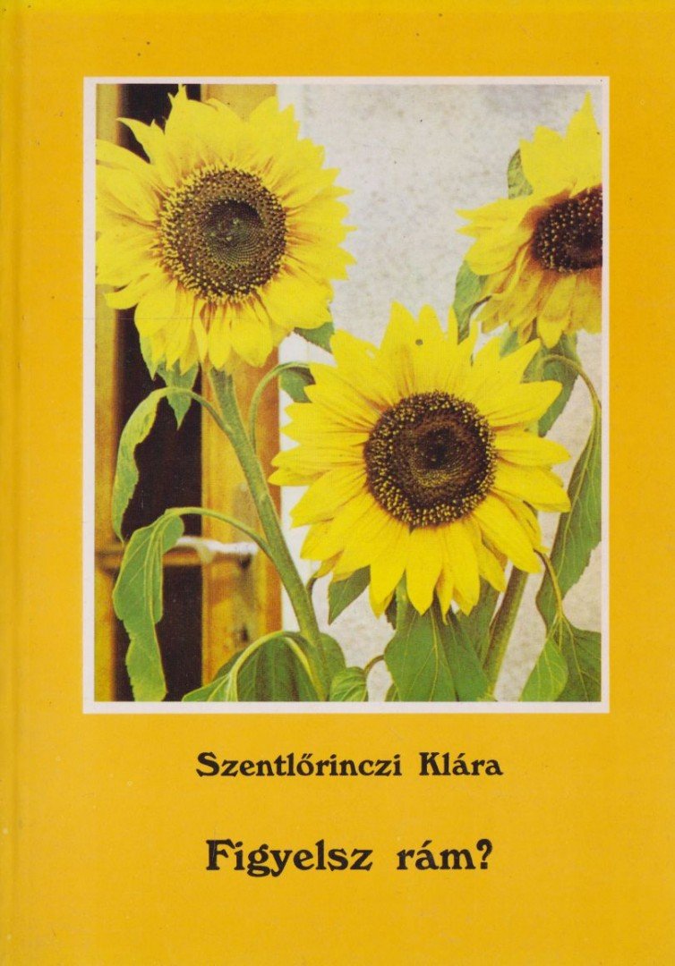 Szentlőrinczi Klára - Figyelsz rám? [antikvár]