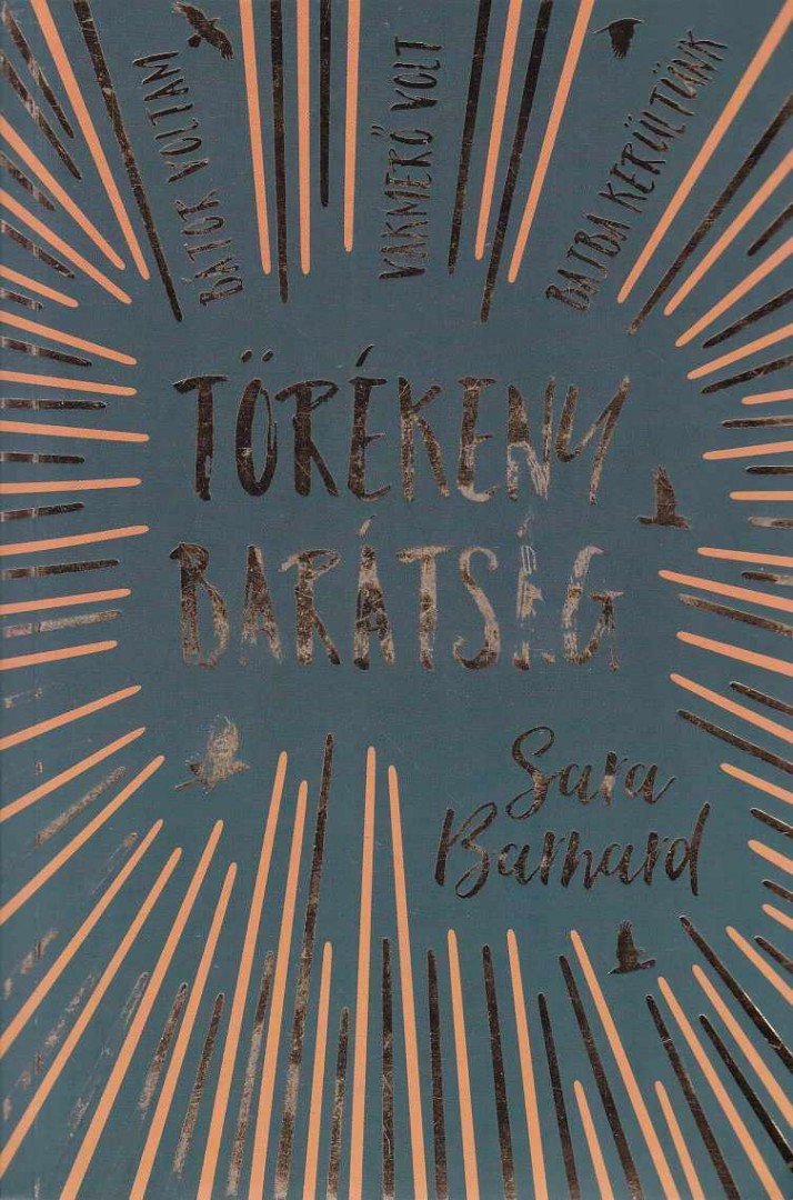 Sara Barnard - Törékeny barátság [antikvár]