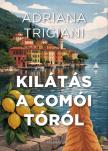Adriana Trigiani - Kilátás a Comói tóról [eKönyv: epub, mobi]